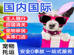海口航空货运国际宠物托运 【国
